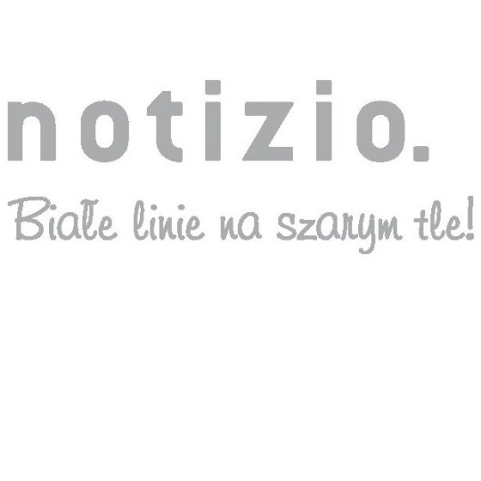 Logo Notizio na szarym tle