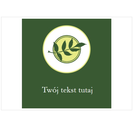 Szablon zielonej etykiety kwadratowej z emblematem liścia