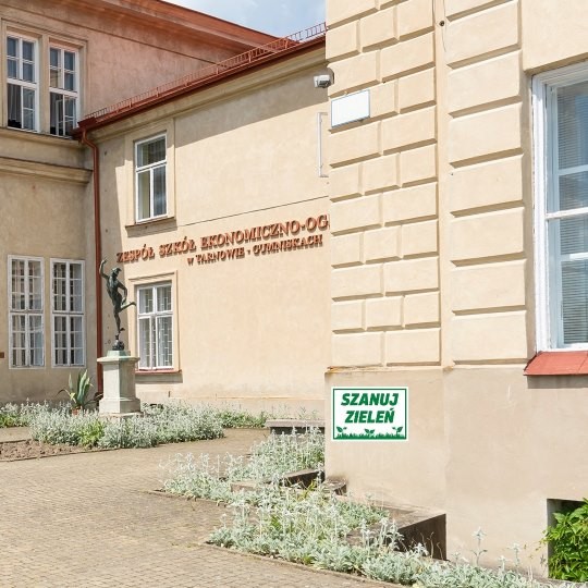 Zielony znak z napisem Szanuj Zieleń na ścianie budynku