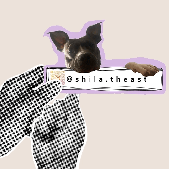 Czarnobiałe dłonie trzymające naklejkę z psem i adresem Instagram shila.theast