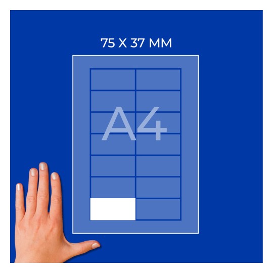 Diagram na arkuszu A4 z etykietą 75 × 37 mm i dłonią w lewym dolnym rogu?