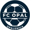Okrągła naklejka z kształtem piłki do piłki nożnej oraz białym napisem FC Opal Opalenica